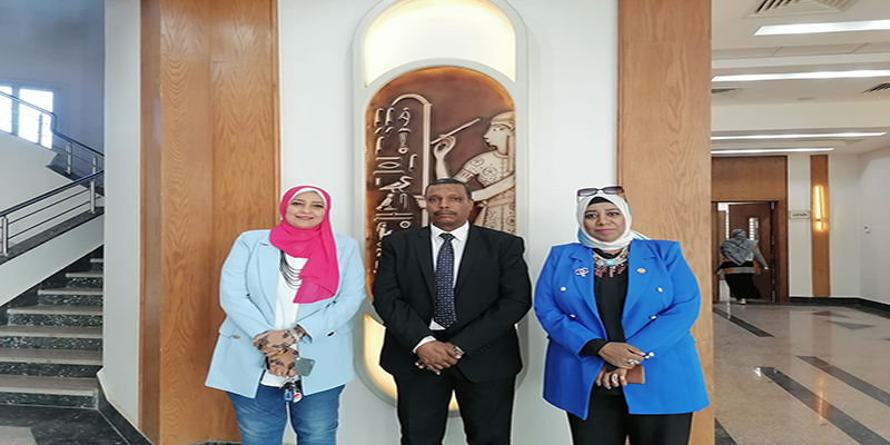 مكتبة مصر العامة بأسوان -